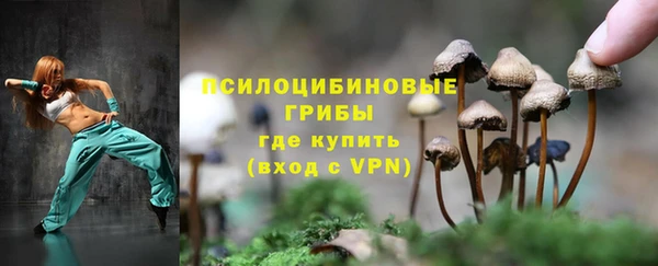 хмурый Михайлов