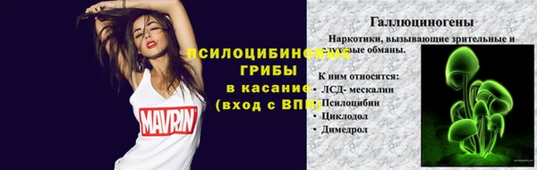 хмурый Михайлов