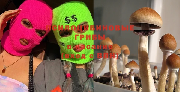 прущая мука Михайловка