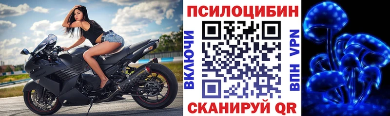 Галлюциногенные грибы мицелий  Энем 